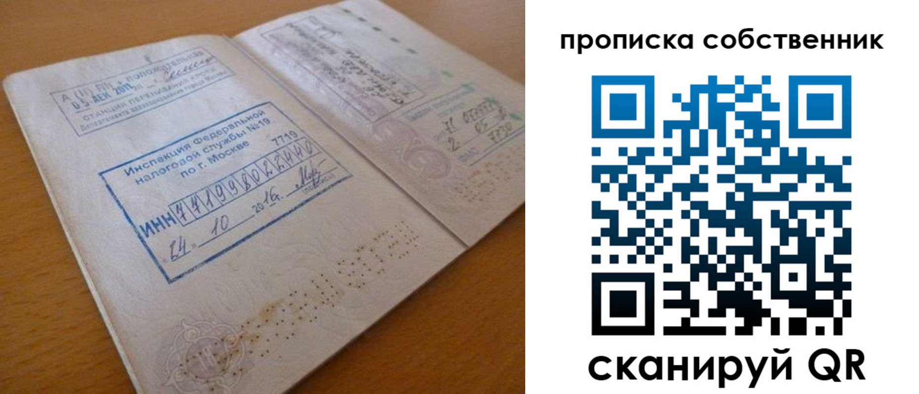 прописка для школы в Кудрово
