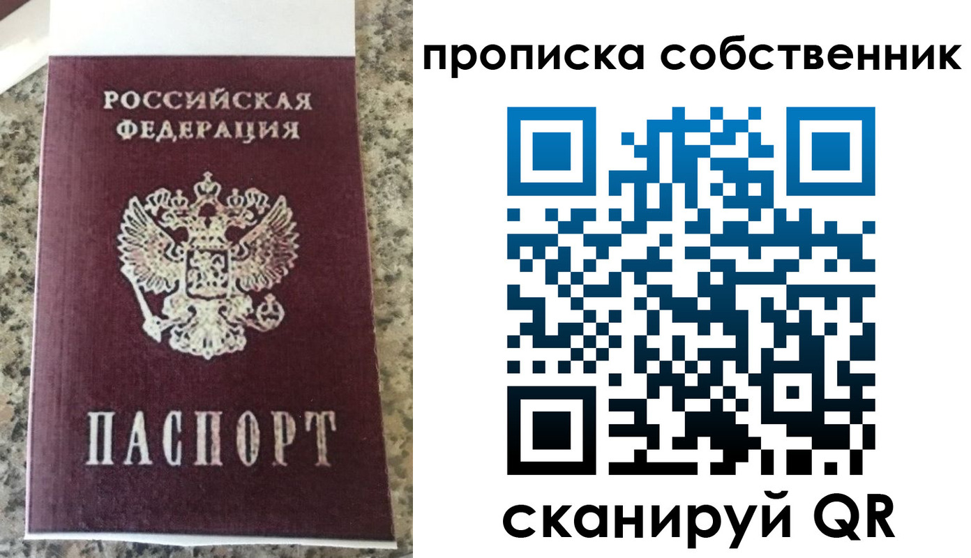 прописка для школы в Кудрово